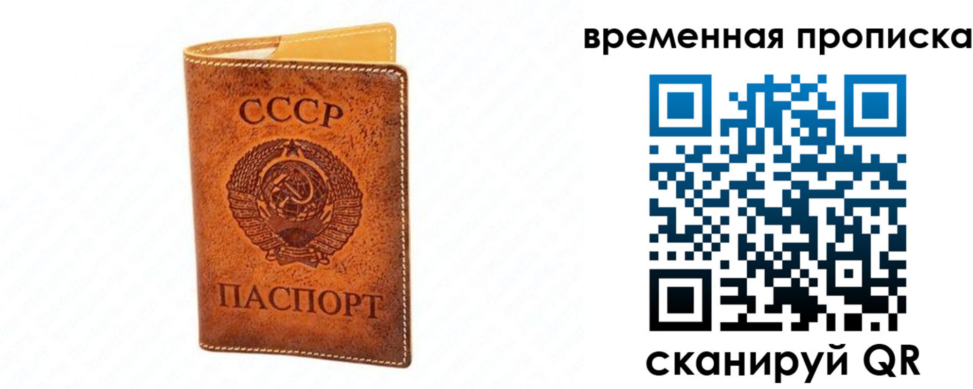 временная прописка в Дубне