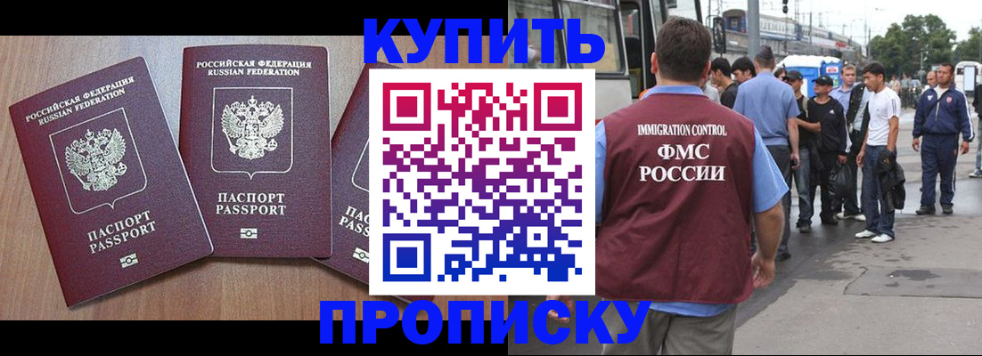 прописка 2025 в Дубне